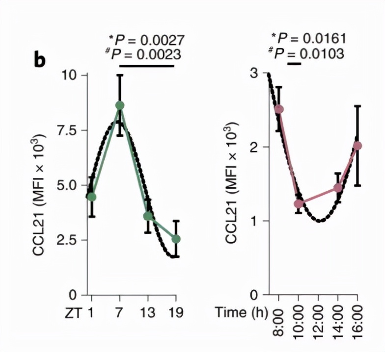警惕肿瘤,肿瘤免疫预防