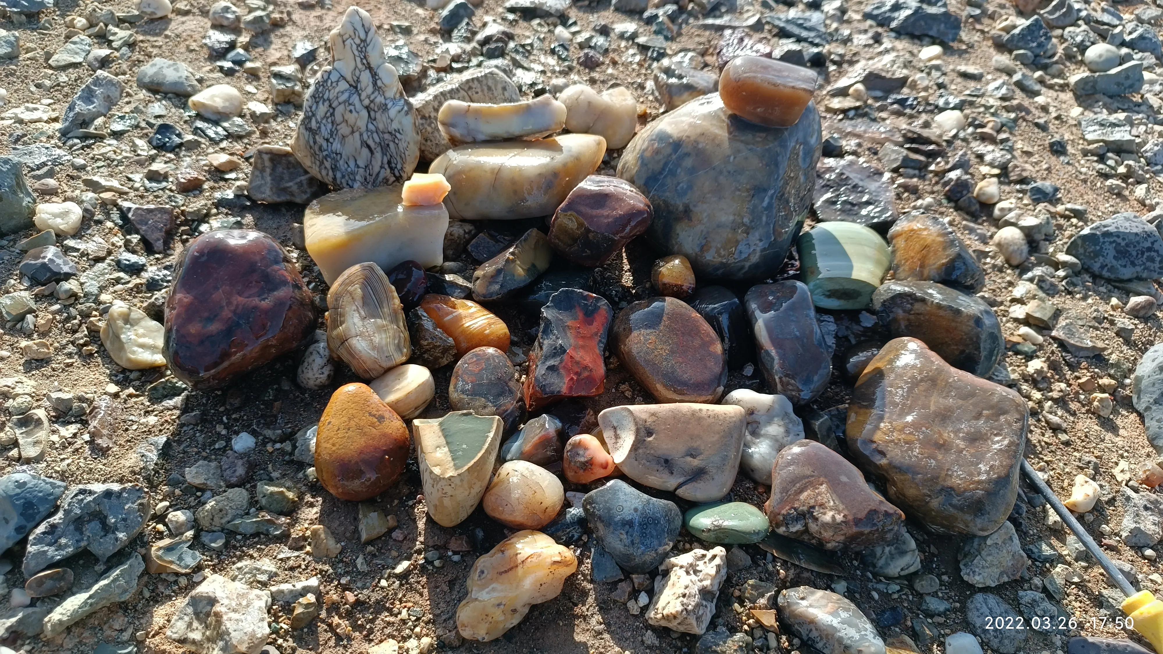 去戈壁捡石头,新疆戈壁捡石头