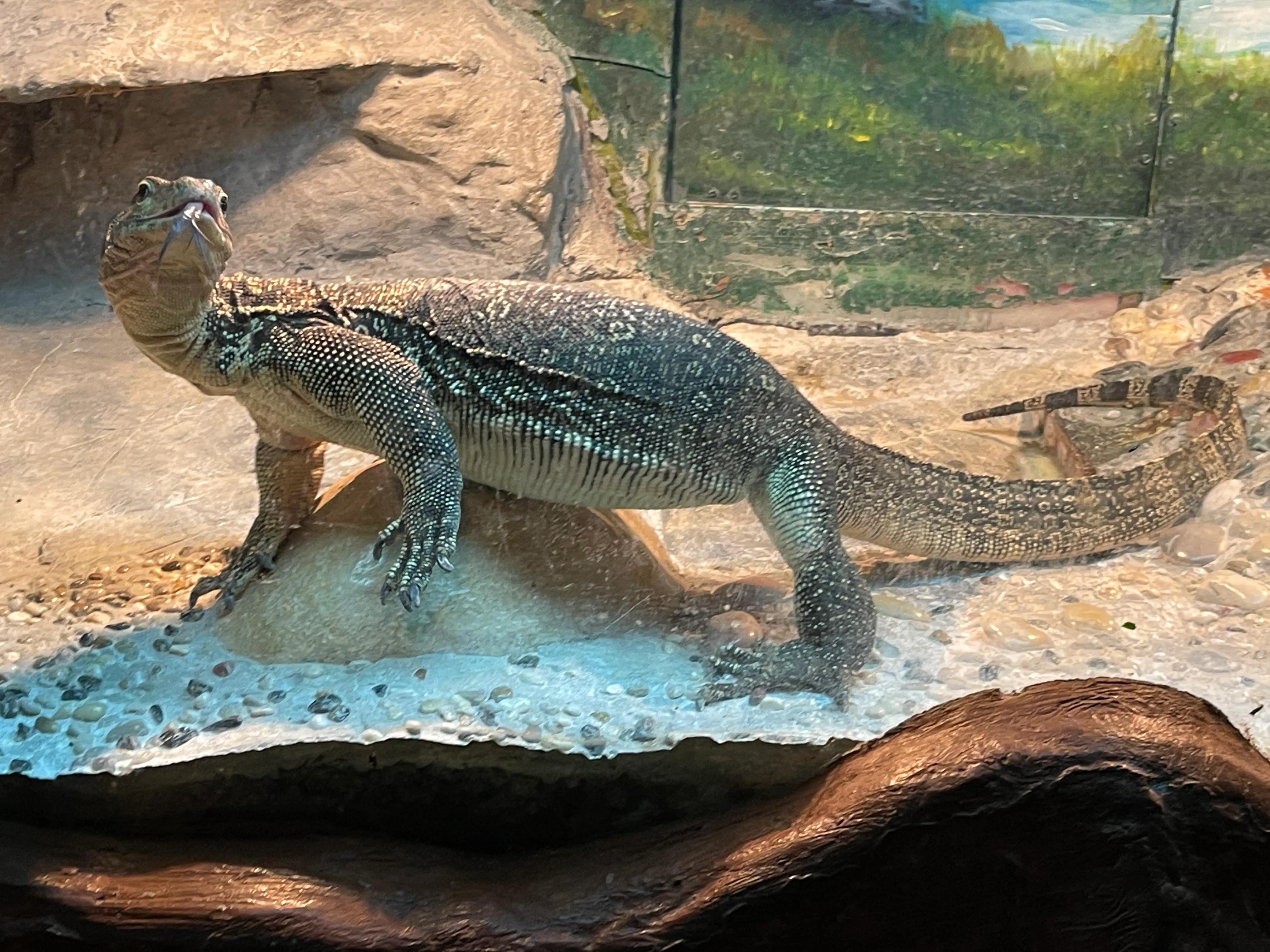 上海大自然野生昆虫博物馆,上海野生昆虫馆门票