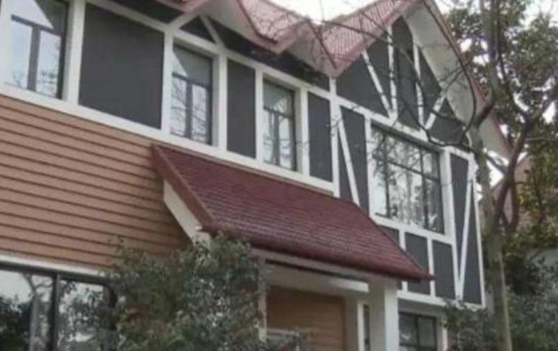 上海富豪花1000万生三个孩子,上海富人花二千万养小三