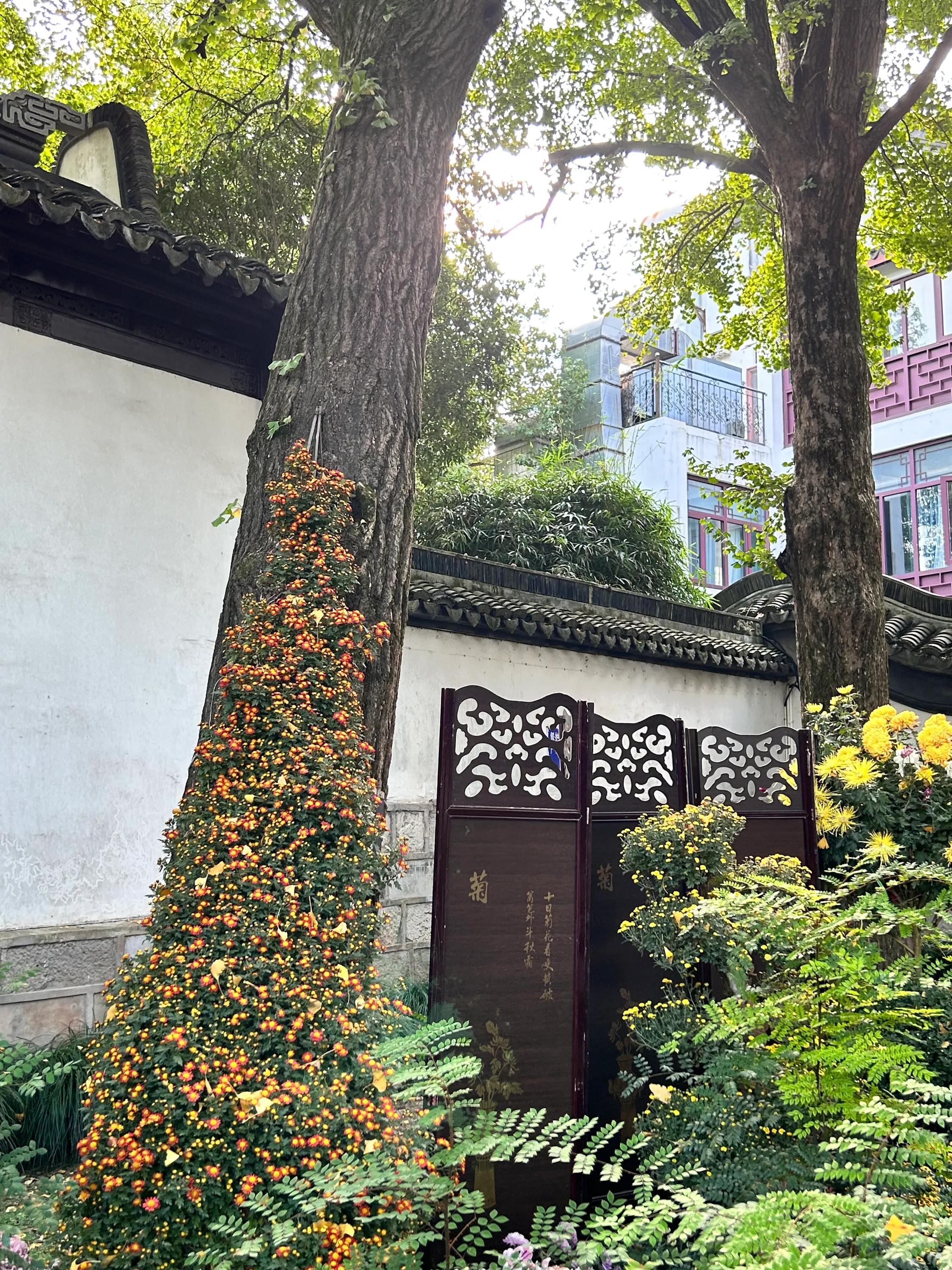 青浦古典园林图片,曲水园上海五大古园林之一