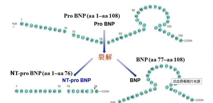 见微知著出处图片,见微知著的图片