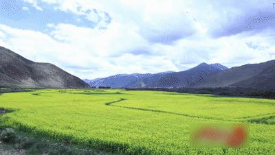 江苏医疗队获国家表彰人员名单,江苏南京第七批援藏干部