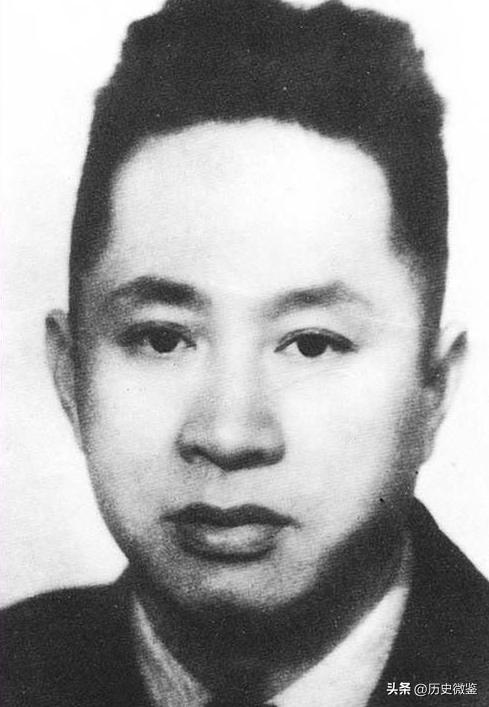 46年叶挺飞机遇难，周恩来坚信是被害，50多年后叶挺之子发文质疑