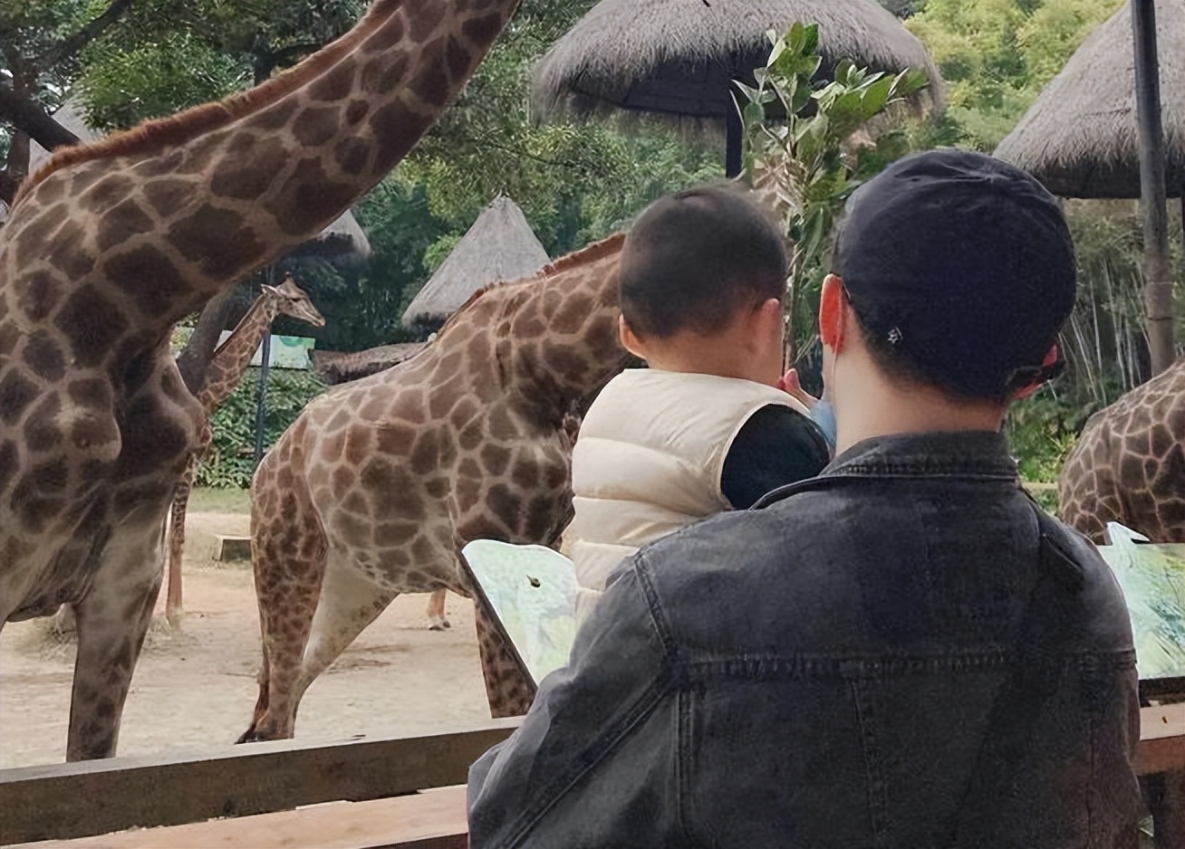 当代90后父母带娃,90后父母带娃上故宫