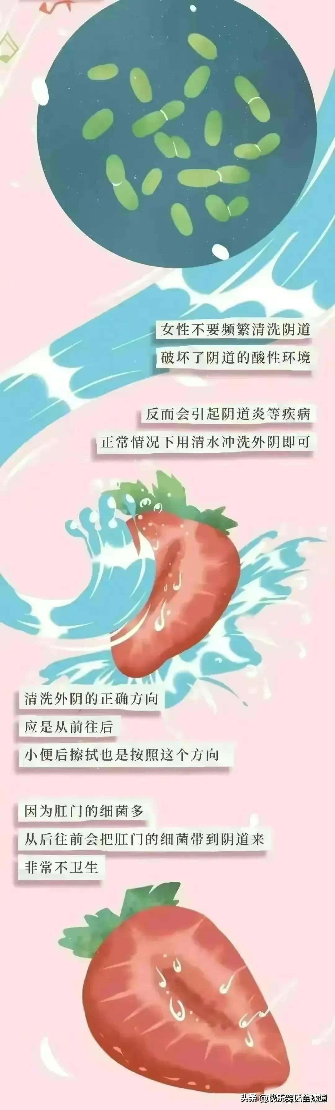 阴道是重要的器官，女人一定要知道，男人必看！