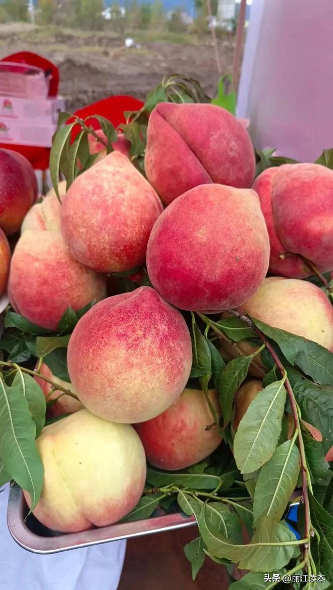 丽江大龄工找工作,丽江年轻人工作