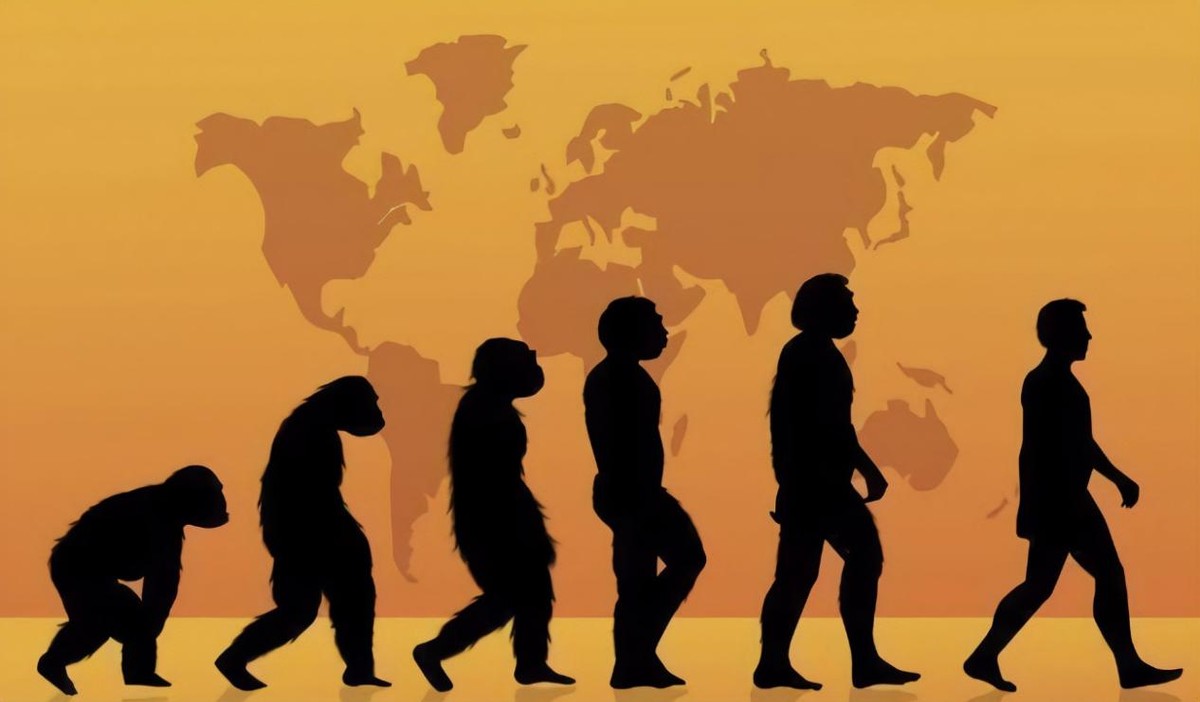 生存上亿年的生物,生存了几百年的动物