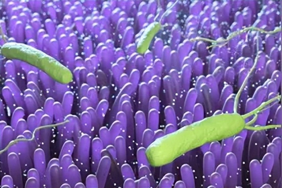 甲硝唑：一瓶几块钱，或能帮你“摆平”4种常见病，你用对了没？