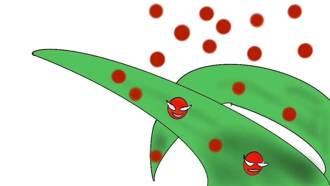 百草枯危害动画,百草枯的危害动画