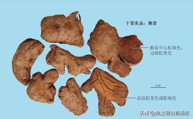 生姜有降逆止呕的功效吗,姜水降逆止呕