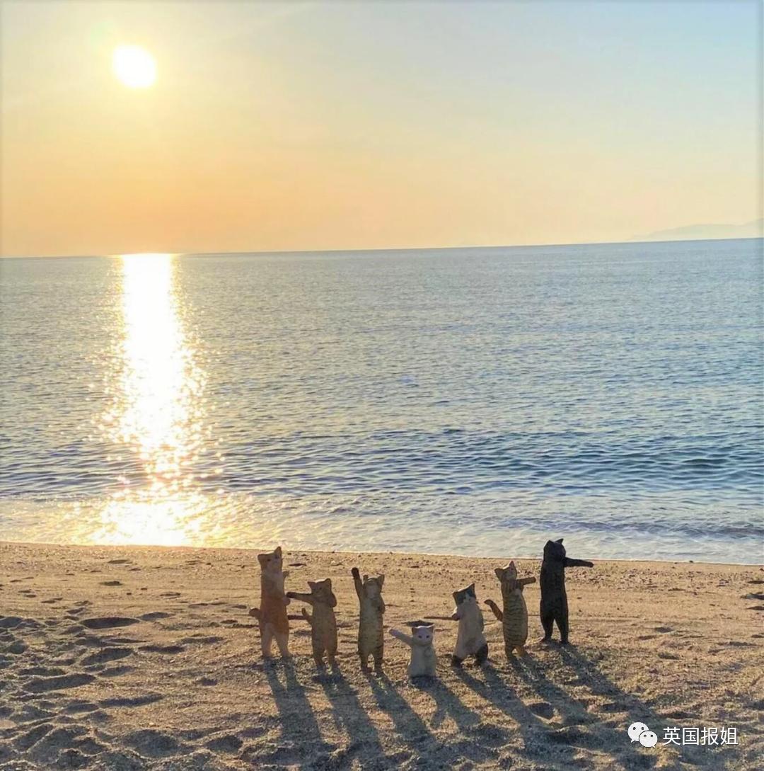 木头雕刻作品猫,手工雕刻木雕小猫