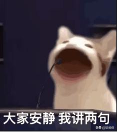 什么是增额终身寿险，跟年金险相比买哪种更好？