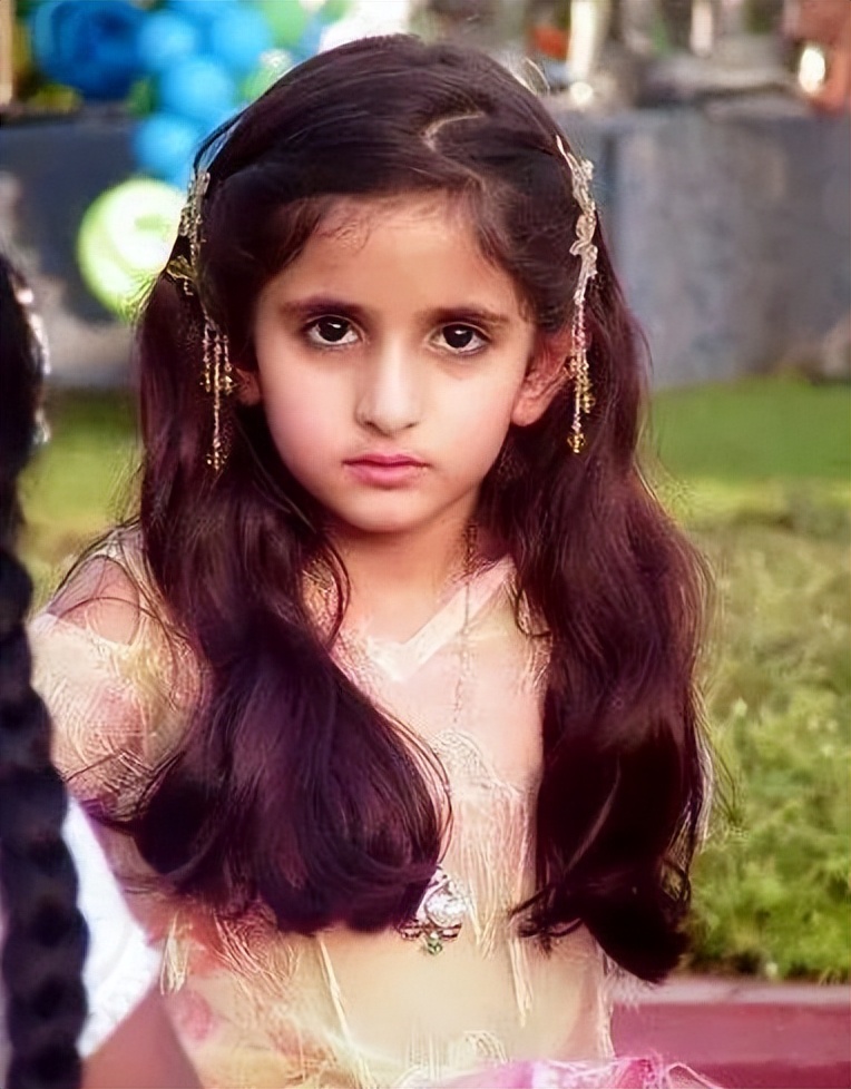 迪拜酋长穆罕默德有多少钱,迪拜酋长穆罕默德