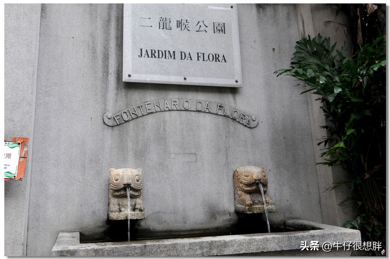 澳门遛娃5天自由行攻略,亲子游香港和澳门哪个更推荐