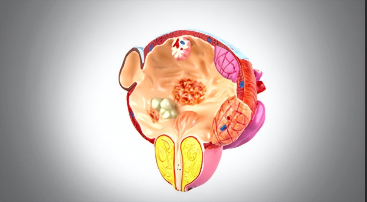 不孕症的中医治疗,山东省中医治疗不孕症名医