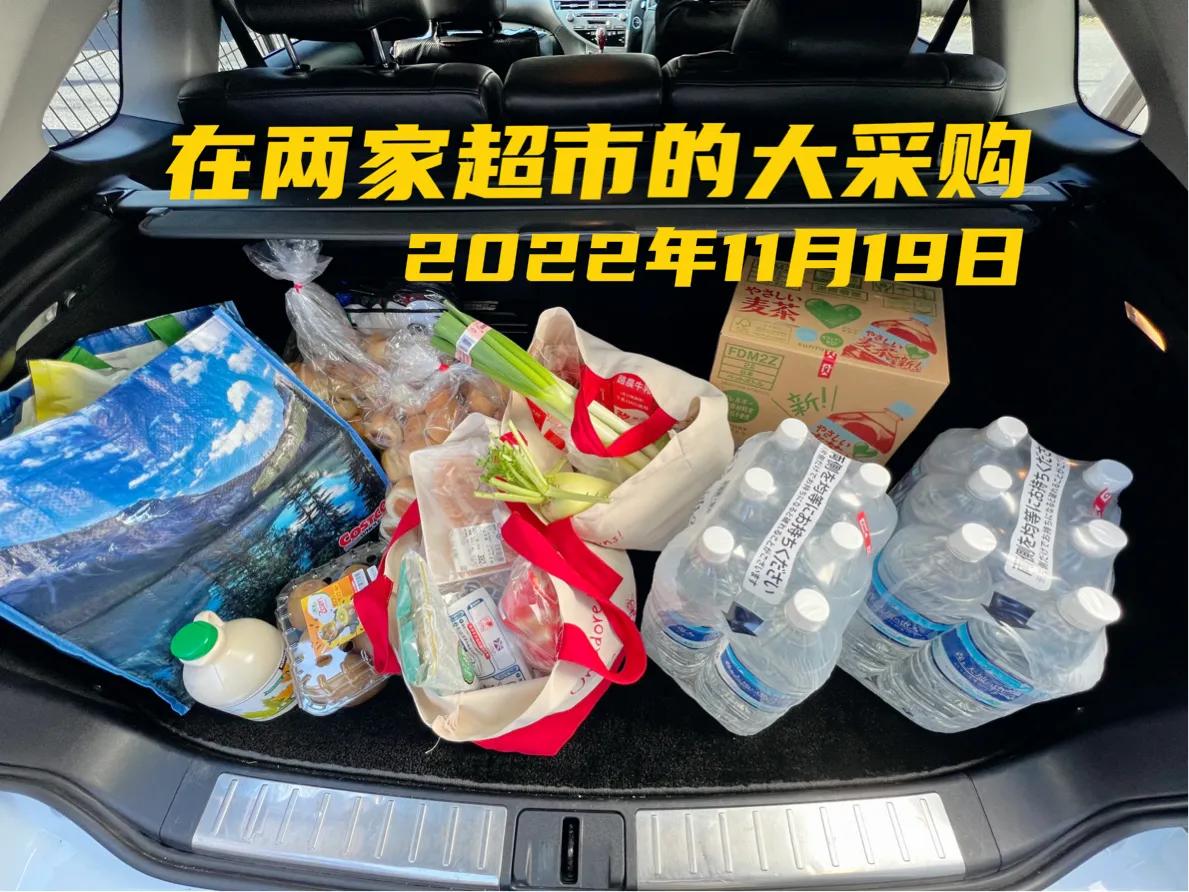日本大阪的costco买什么,东京costco买什么