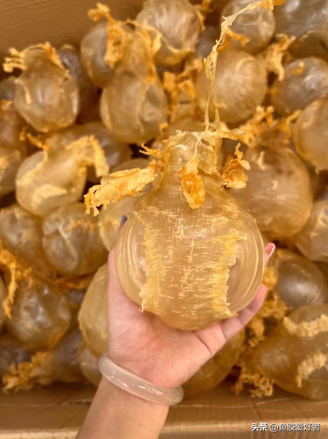 广东的鱼胶是不是智商税,吃鱼胶是交智商税吗