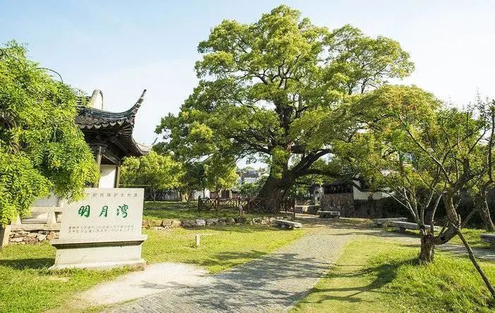 苏州旅游自驾一日游,苏州旅游一日游亲子游