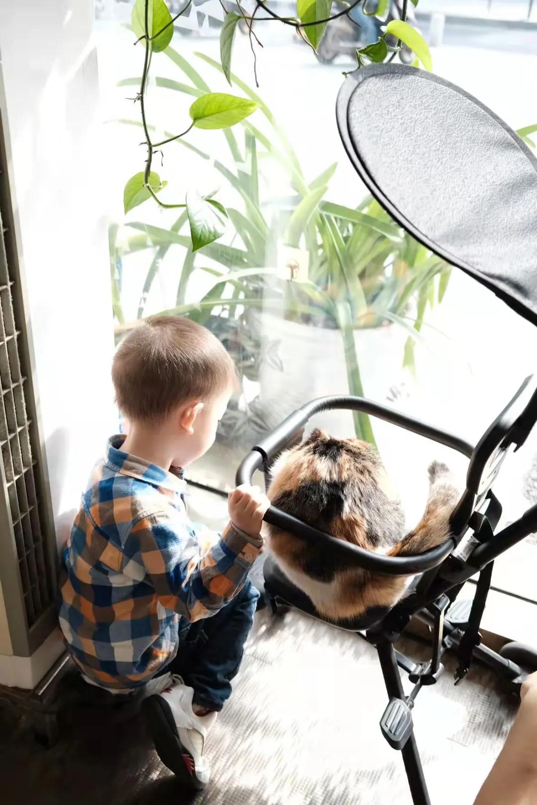 香港老字号探店,一个探店的老爷爷