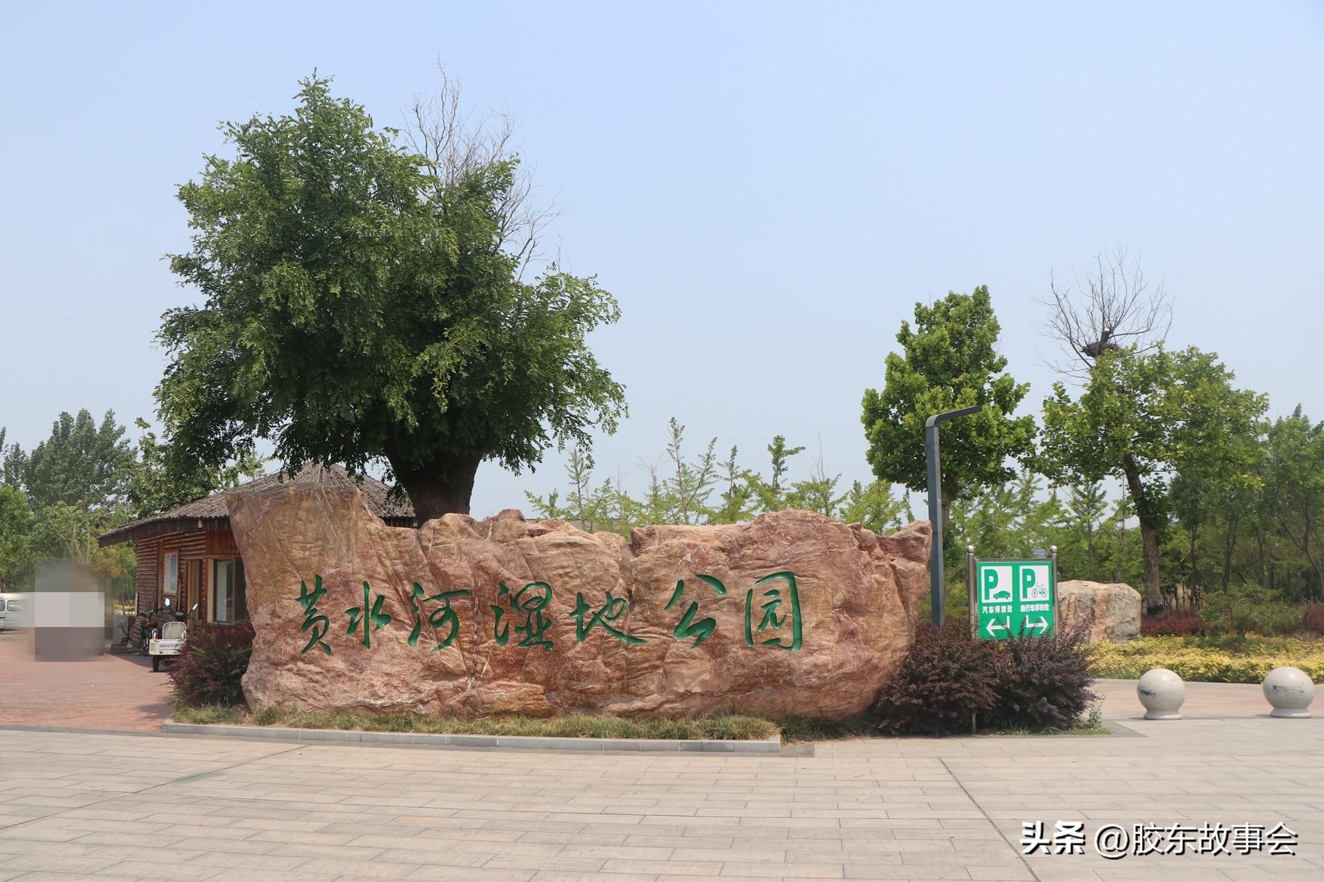 龙口市面积有多少平方公里,龙口市面积