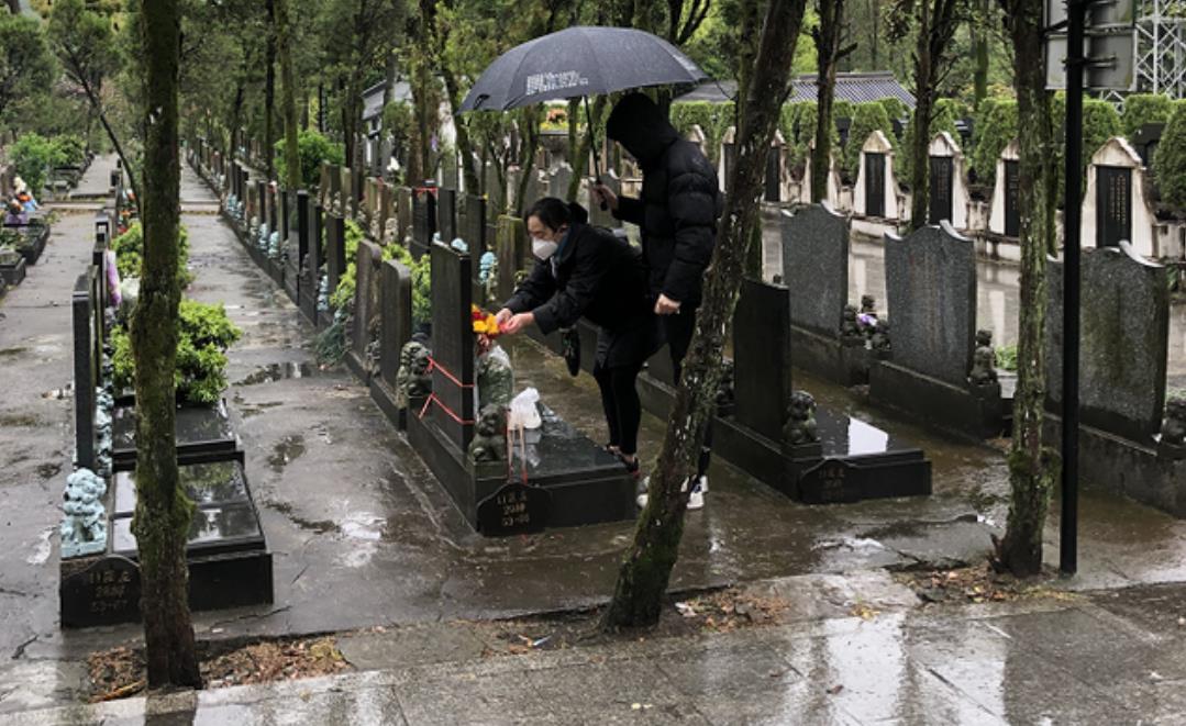 清明节上坟祭祖最难走的路,清明节扫墓牢记十不要