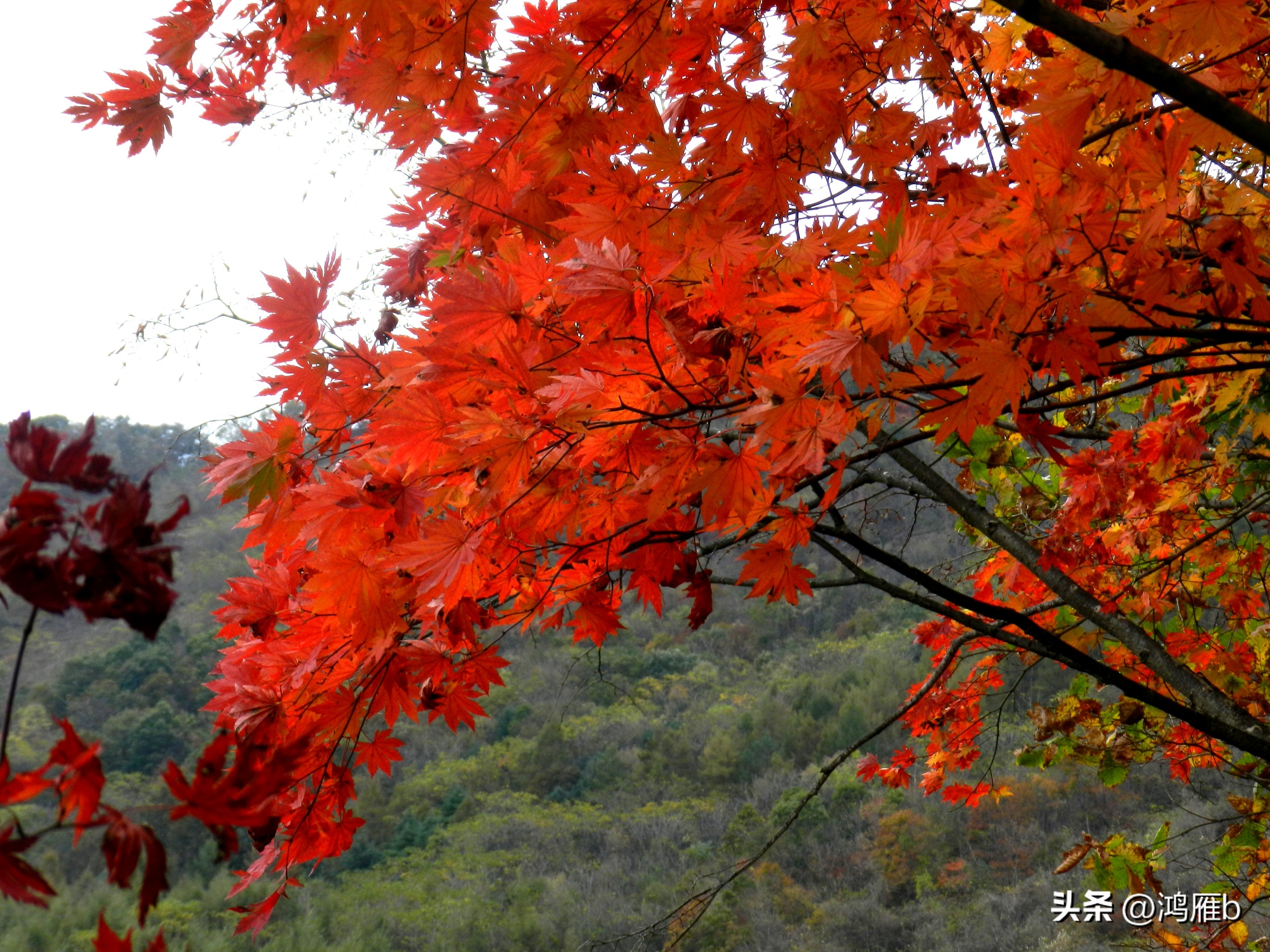 本溪温泉汤沟门票价格,本溪花溪沐枫雪温泉小镇