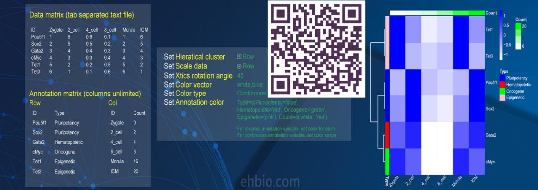 图形解读系列|给你5个示例，你能看懂常用热图使用吗？