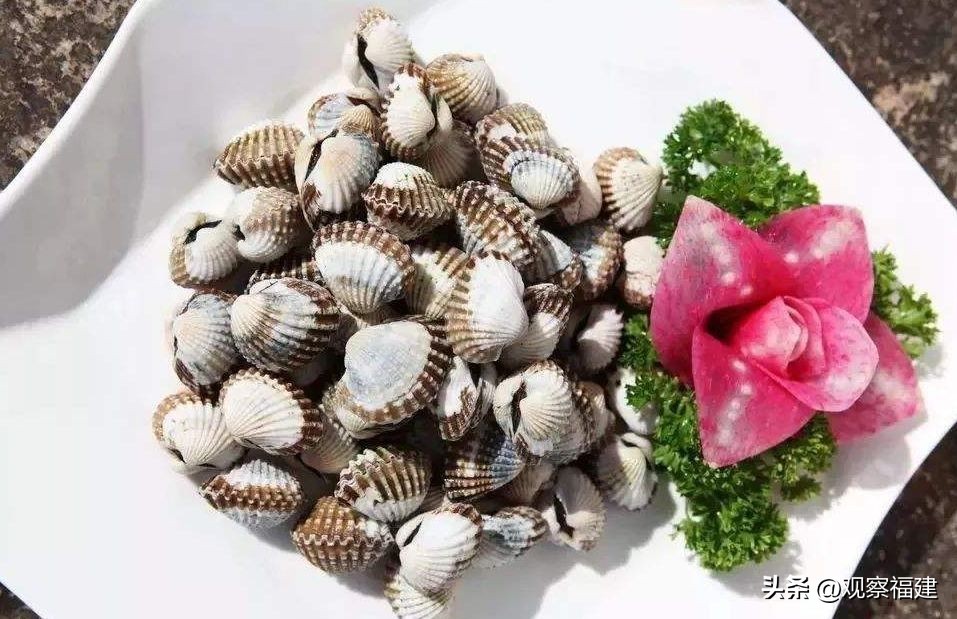 诏安秋天吃什么海鲜,福建各种海鲜图片大全