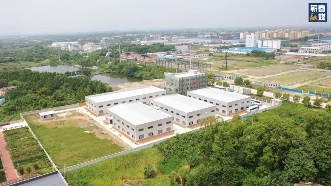 直击现场合集,直击现场拍摄