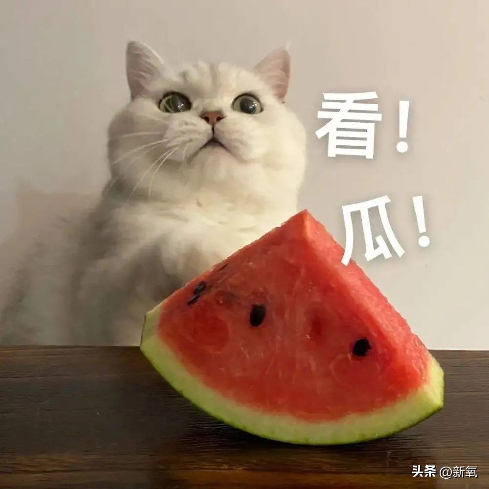 挺着大肚子逼退小三9年后，她终于复出了