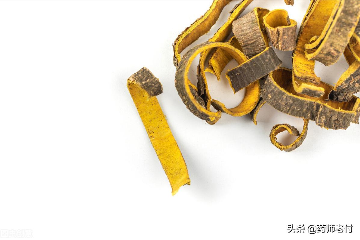 二妙丸妙在哪?下焦湿热老中医最喜欢用它,除湿它有一套