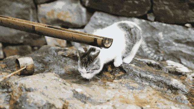 杭州夫妻花百亿做城堡,杭州夫妻自建庭院