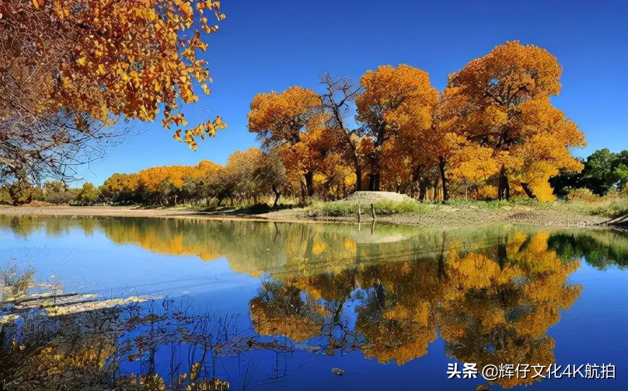 鎻鍏ㄧ悆鏈牬鎮鍚堥泦,鎻涓浗澶ф鍚堥泦