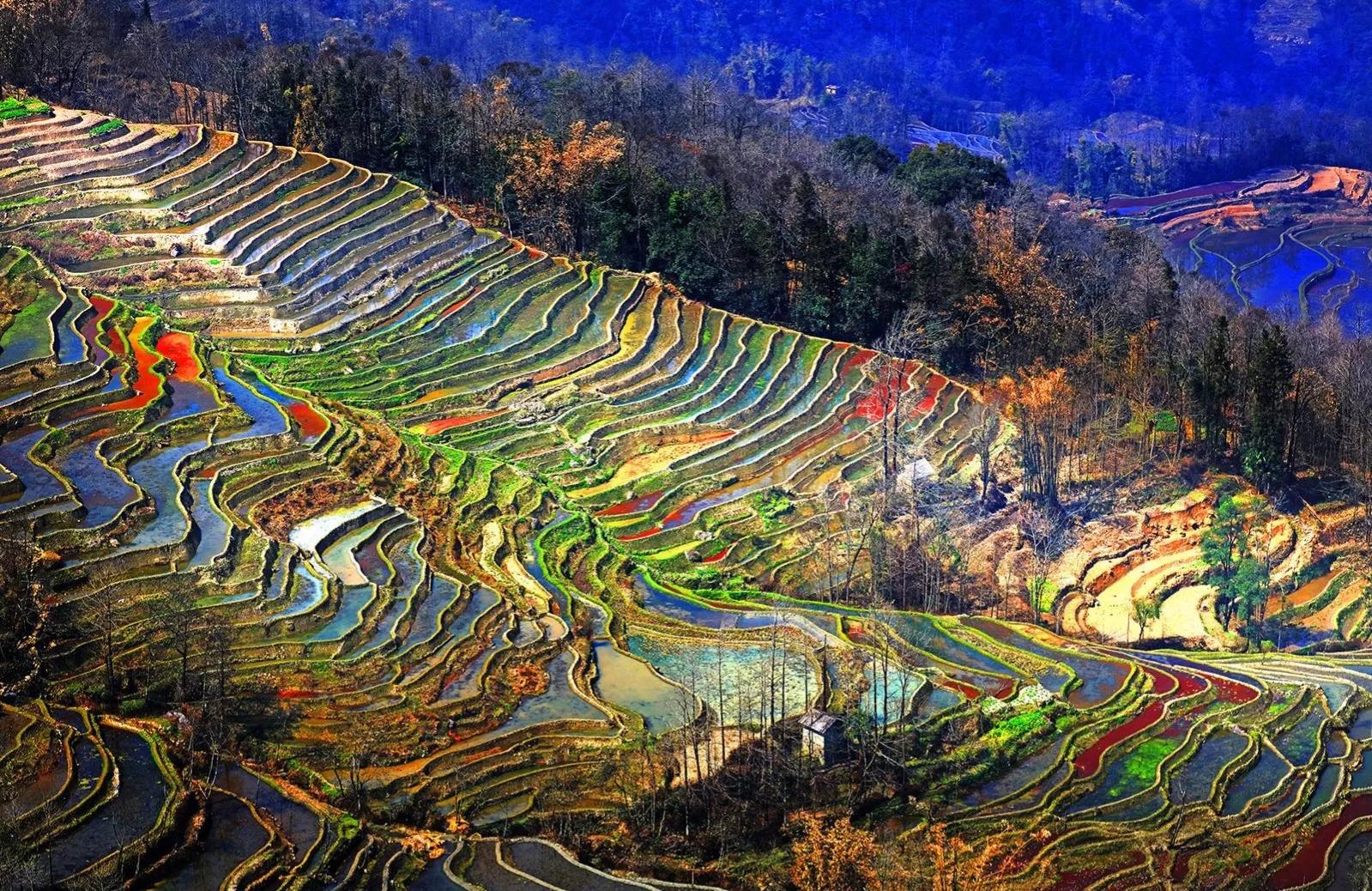 云南5a景区排名前十有哪些,云南景区5a级排名前十有哪些