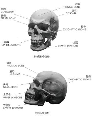 bel教程,半永久纹绣最新技术