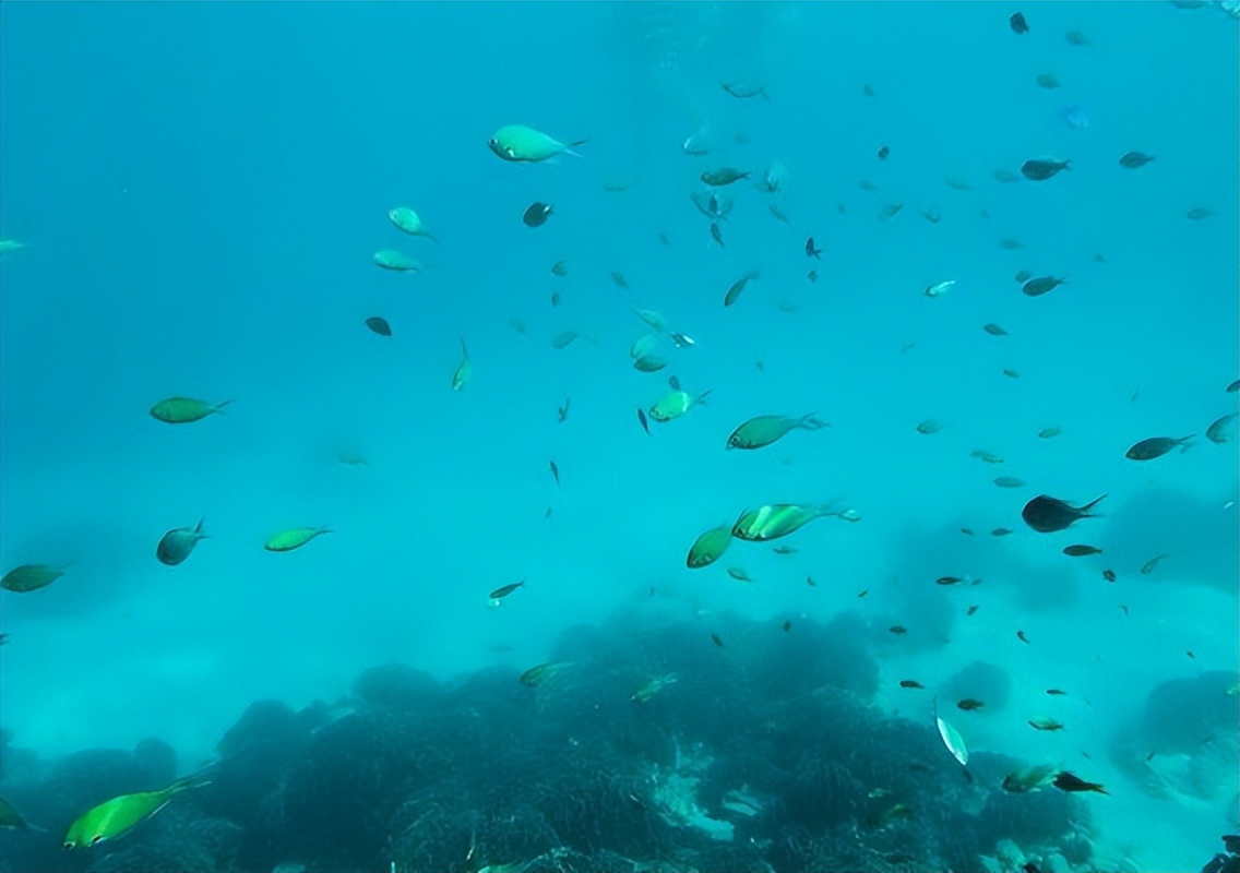 泰国小众海岛,泰国冷门又便宜的海岛