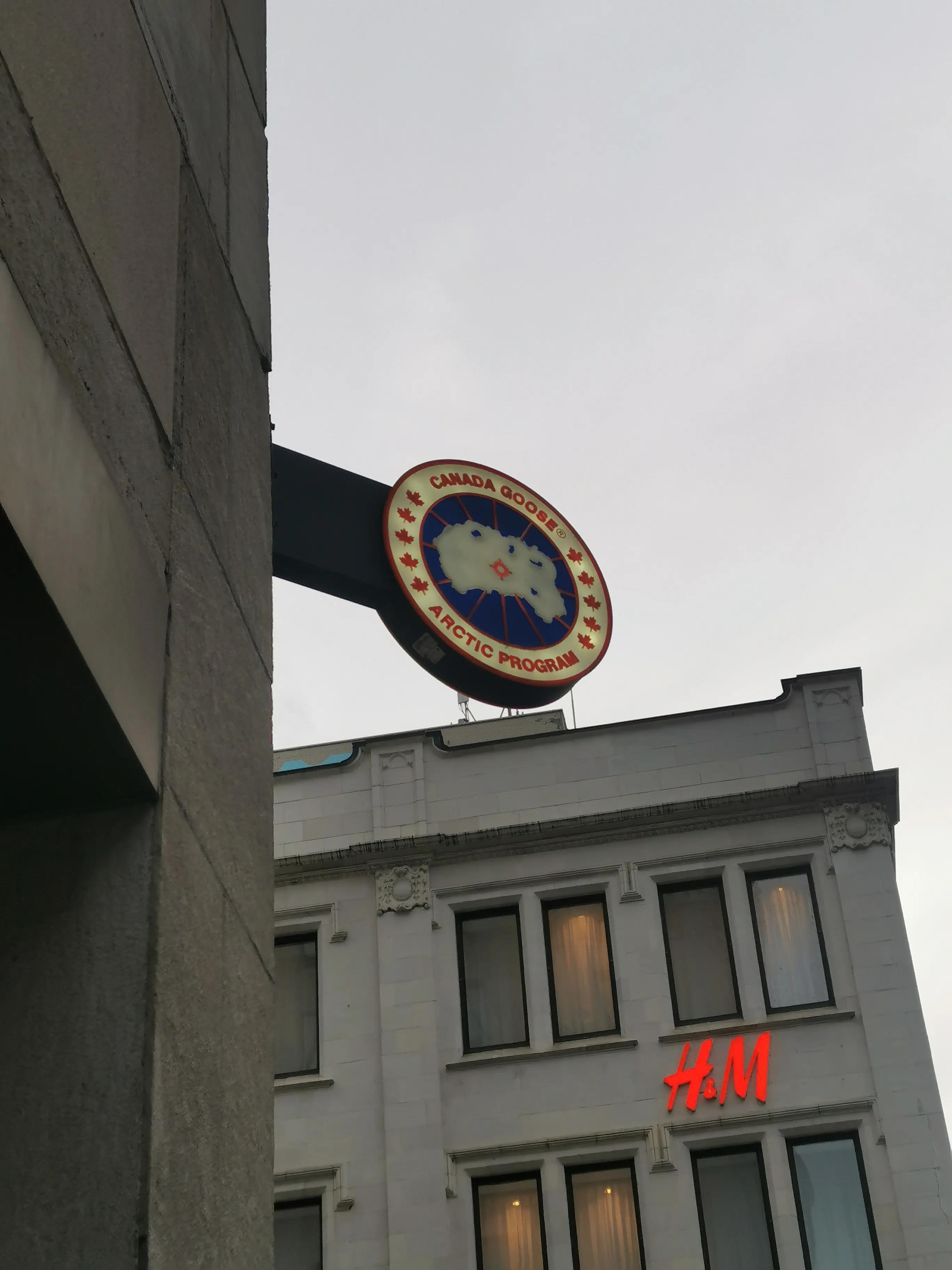 为什么有很多中国人买加拿大鹅,加拿大鹅中国是不是比加拿大贵