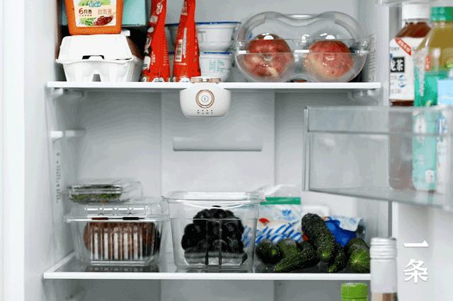 冰箱有异味6个办法轻松去除,冰箱放五毛钱可以去异味是真的吗