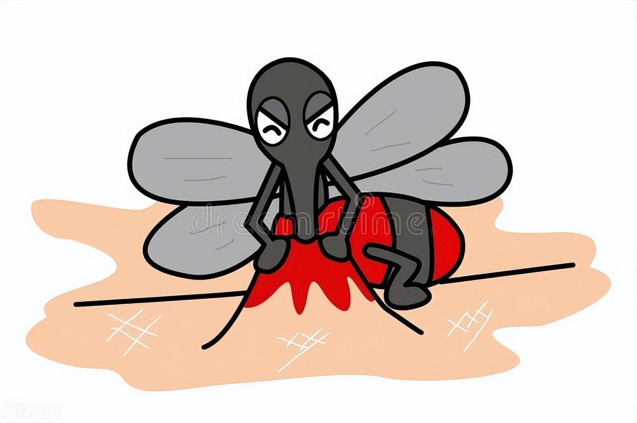 为什么你会独得蚊子恩宠,自打入冬以来独得蚊子恩宠