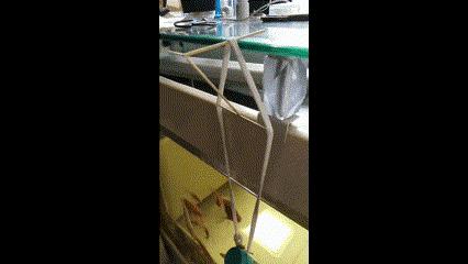 水之呼吸，物理之型，水流振动！|正经玩