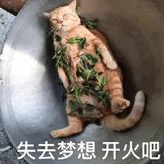 jquery入门教程,jquery入门华为