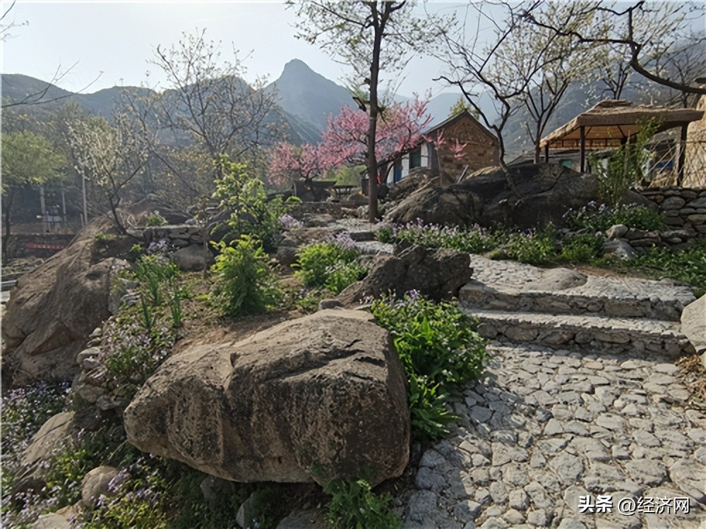 同舟共济扬帆起——河北省阜平县台峪乡激活驻地资源实现乡村振兴纪实