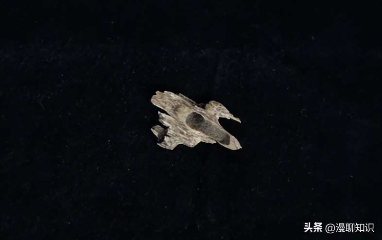 沉香异常显微结构是什么,沉香的形成和构成