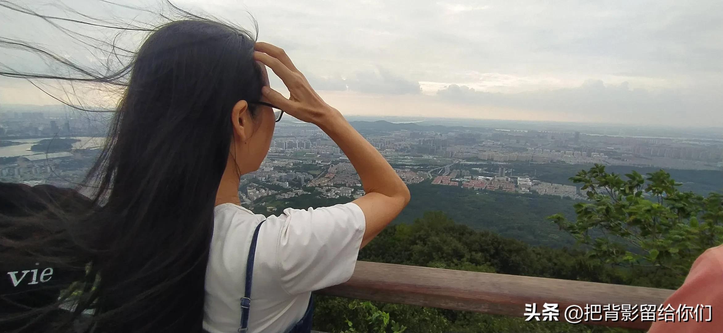 我的大南京，你这是怎么了？