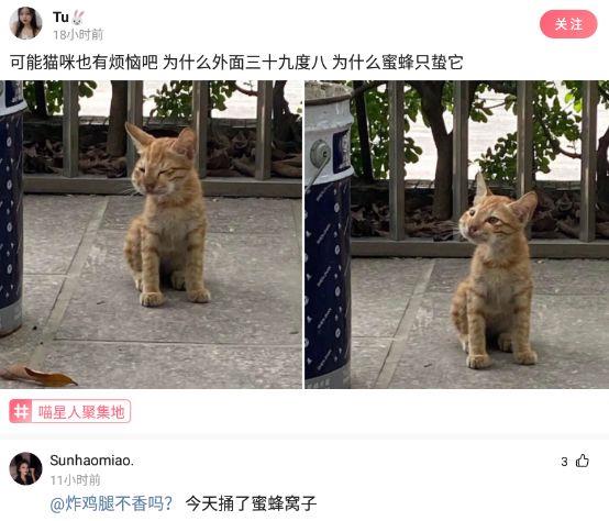 神回复:为什么近视的人睡觉不戴眼镜,那他们晚上做梦能看得清吗