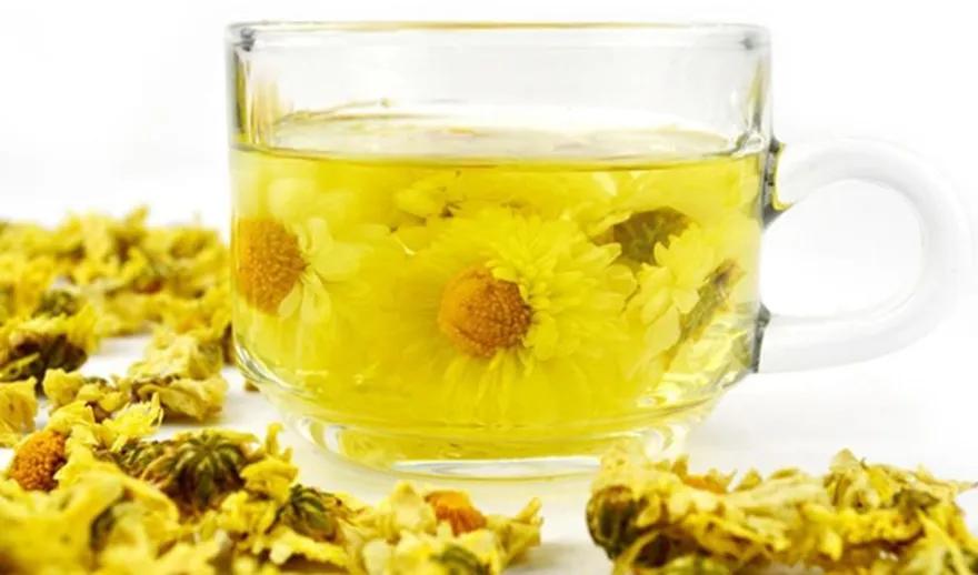 菊花泡水用什么茶叶好喝,菊花泡水用什么菊花降火