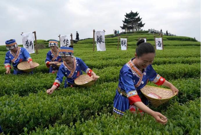 2023世界华服大会品贡茶悦宣恩