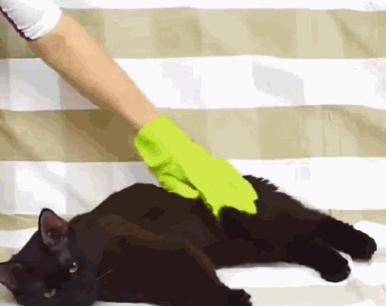 韩国全职太太逆袭的视频,韩国主妇教你变废为宝