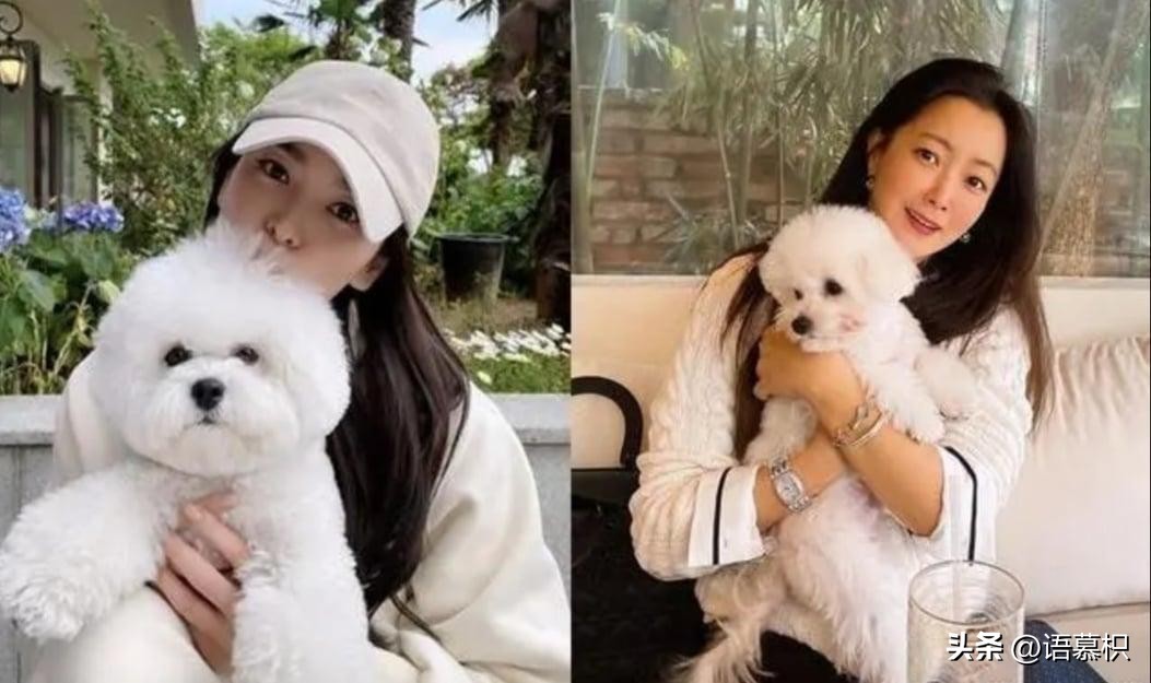 宋慧乔宋允儿纪录片,金喜善宋慧乔聚餐